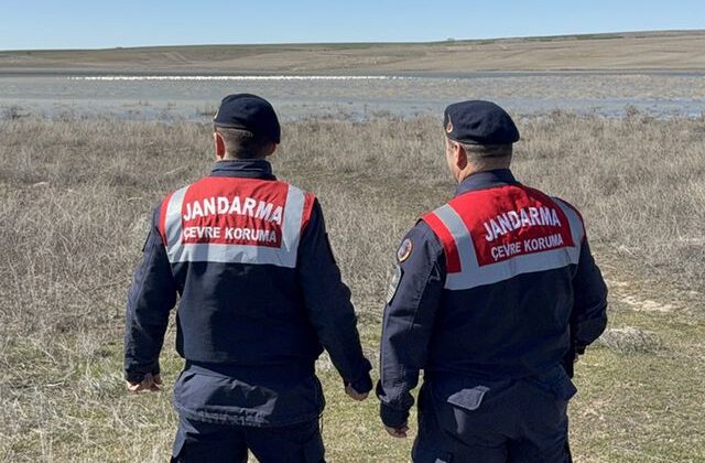 Jandarma flamingolar için 24 saat mesaide