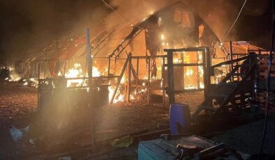 Kanatlı ve küçükbaş hayvan çiftliğinde yangın: 580 hayvan öldü