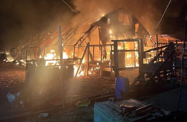 Kanatlı ve küçükbaş hayvan çiftliğinde yangın: 580 hayvan öldü