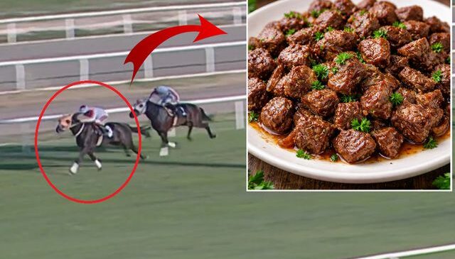 Kavurma yapılan at hipodromdan tabağa nasıl geldi? Bakın ne kadara satmışlar