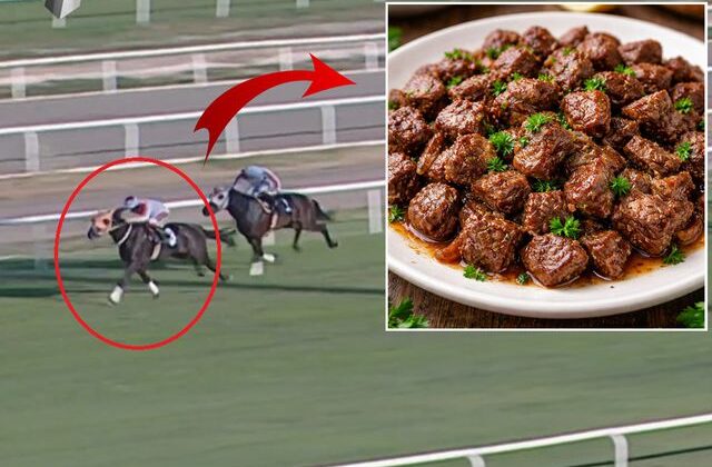 Kavurma yapılan at hipodromdan tabağa nasıl geldi? Bakın ne kadara satmışlar