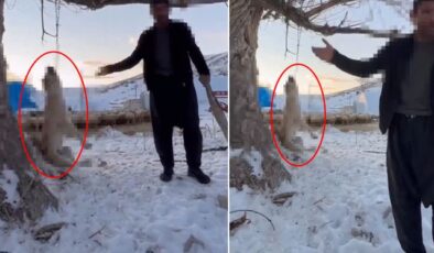 Çok yediğini iddia ettiği köpeğini ağaca asıp öldürdü