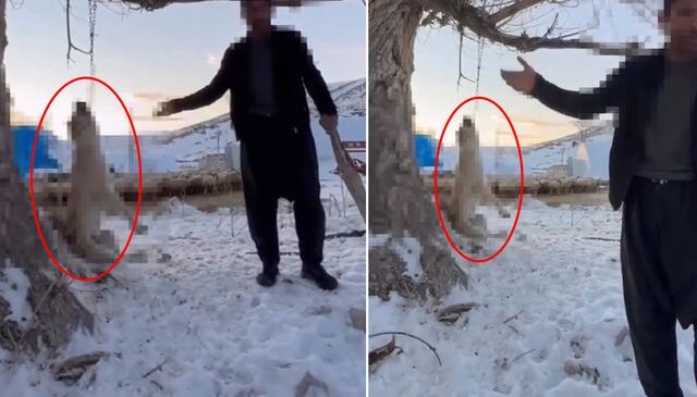 Çok yediğini iddia ettiği köpeğini ağaca asıp öldürdü