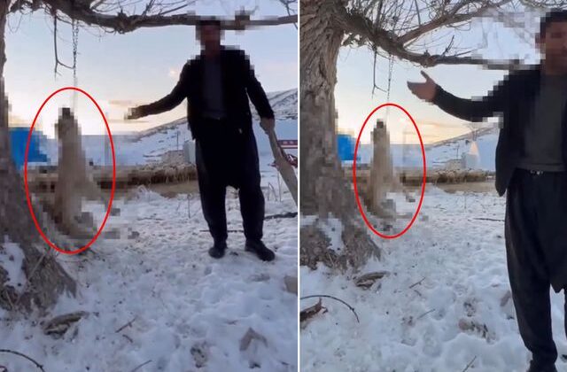 Çok yediğini iddia ettiği köpeğini ağaca asıp öldürdü