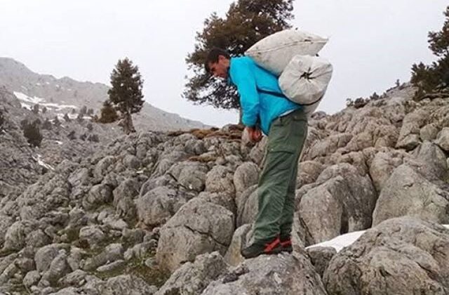 Kilosu 300 liradan satılıyor! Günde 21 bin lira kazanan var