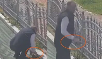 Kocaeli’de tramvay hattında sevgi dolu duraklama: Vatmandan kaplumbağaya yardım eli