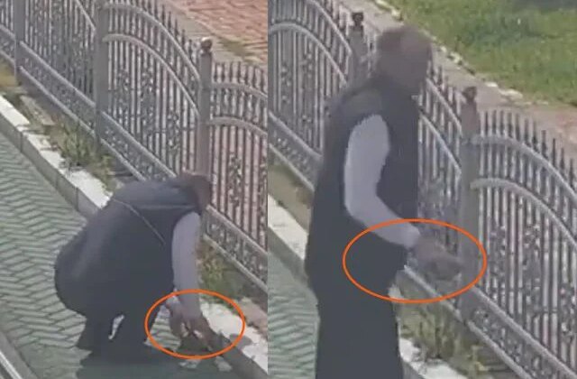 Kocaeli’de tramvay hattında sevgi dolu duraklama: Vatmandan kaplumbağaya yardım eli