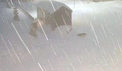 Kocaeli’nin yüksek kesimlerine kar yağdı