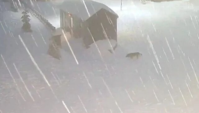 Kocaeli’nin yüksek kesimlerine kar yağdı