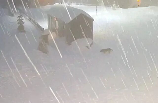 Kocaeli’nin yüksek kesimlerine kar yağdı