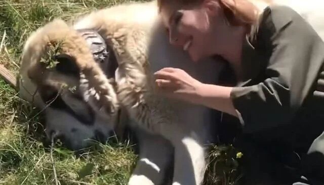 Köpeği seviyordu, sonu faciayla bitti