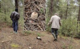 Köylüler dağ tepe onu arıyor: Altın bulmuş gibi seviniyoruz