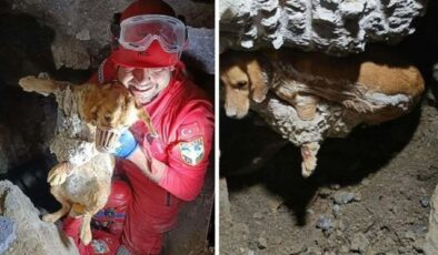 Kuruyan betonda mahsur kalan ‘Paris’, 7 saat sonra özgürlüğüne kavuştu