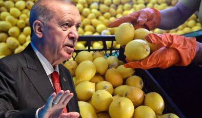 Fiyatı 100 lirayı aşmıştı, Erdoğan el attı! Limon ithalatında yeni karar