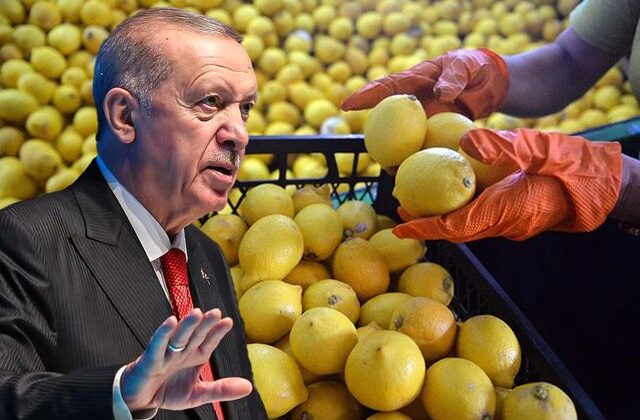 Fiyatı 100 lirayı aşmıştı, Erdoğan el attı! Limon ithalatında yeni karar