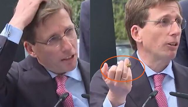 Madrid Belediye Başkanı’nın konuşması güvercin “müdahalesi”yle yarıda kaldı