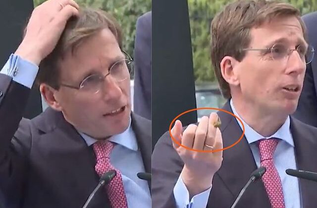 Madrid Belediye Başkanı’nın konuşması güvercin “müdahalesi”yle yarıda kaldı