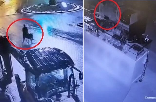 Milyonluk vurgun yapıp eşekle kaçtı: İşte istenen ceza