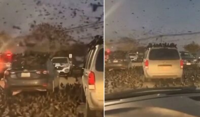 Neler oluyor? Tel Aviv’den servis edilen yeni görüntü ses getirdi