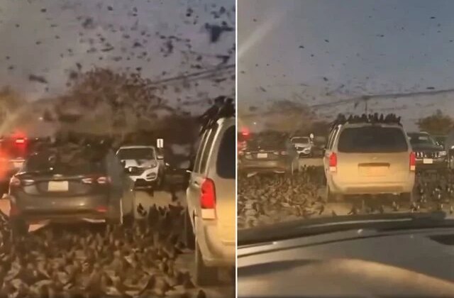 Neler oluyor? Tel Aviv’den servis edilen yeni görüntü ses getirdi