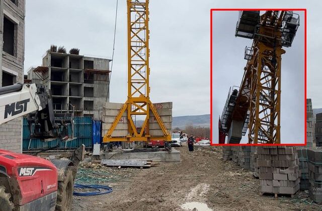 Vincin tepesine bakan hemen polisi aradı