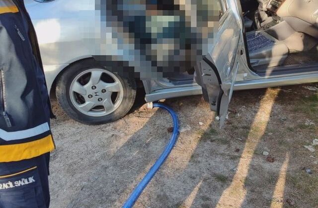 Park halindeki otomobilde ölü bulundu