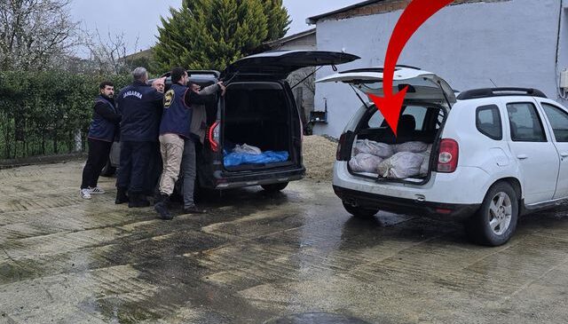 Piyasaya sunulmaya hazır 306 kilo at Silivri’de ele geçirildi