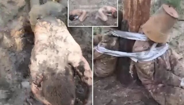 Putin’in komutanları neler yapmış neler! Rus ordusunda skandal görüntüler