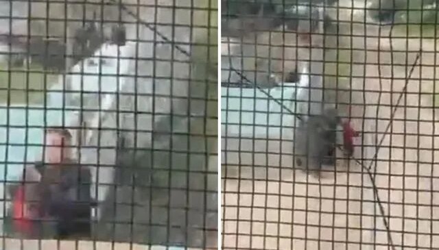 Raylarda mucize: Trenin çarpmasına saniyeler kala küçük çocuğu böyle kurtardı