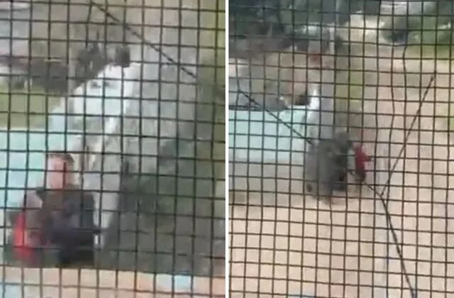 Raylarda mucize: Trenin çarpmasına saniyeler kala küçük çocuğu böyle kurtardı