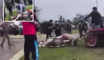 Sahibinin, koşmadığı için dövdüğü at bayıldı