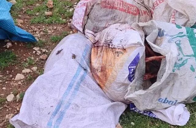Şanlıurfa’da çuvallarda kesilmiş at başı bulundu