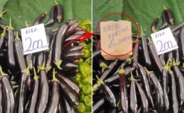 Savaşın gölgesi tarlaya da düştü, pazarda “taksit” dönemi başladı