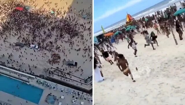 Silah seslerini duyunca denizden çıkıp panikle kaçtılar