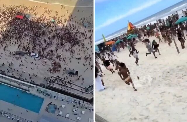 Silah seslerini duyunca denizden çıkıp panikle kaçtılar