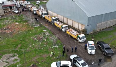 Şanlıurfa’da 50 ton bozuk tavuk eti ele geçirildi