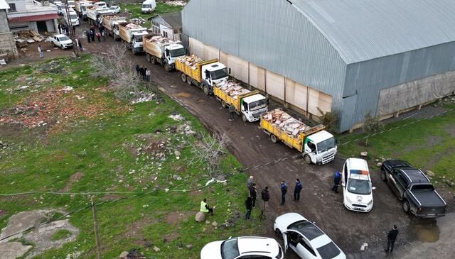 Şanlıurfa’da 50 ton bozuk tavuk eti ele geçirildi