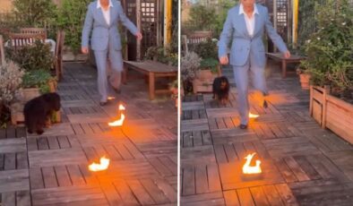 Sürgündeki Kraliçe Farah Pehlevi’den dikkat çeken Nevruz paylaşımı