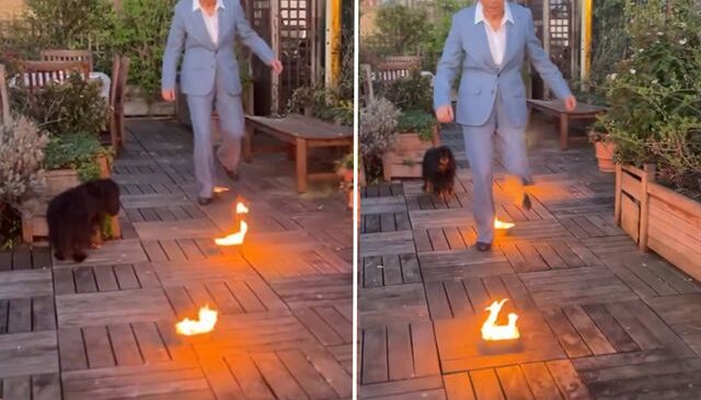 Sürgündeki Kraliçe Farah Pehlevi’den dikkat çeken Nevruz paylaşımı