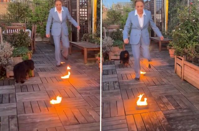 Sürgündeki Kraliçe Farah Pehlevi’den dikkat çeken Nevruz paylaşımı