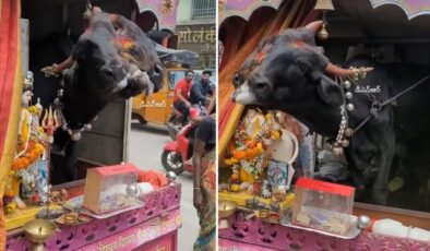 Genetik bozukluğu kazanç kapısı yaptı