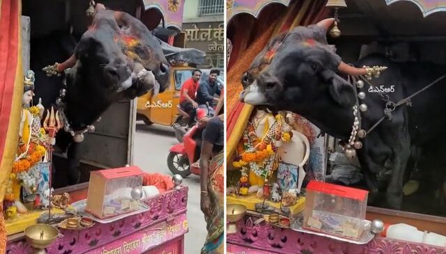 Genetik bozukluğu kazanç kapısı yaptı