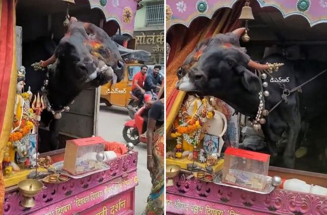 Genetik bozukluğu kazanç kapısı yaptı