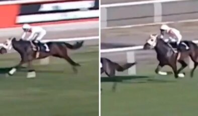 Yarış görüntüleri ortaya çıktı! Kavurması yapılan atın 3 birinciliği varmış