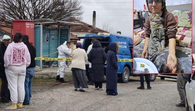 Yeğenini bıçaklayıp öldürdü, araya giren kardeşi ile damadını ağır yaraladı