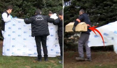 Yol kenarında yeni doğmuş bebek cesedi bulundu