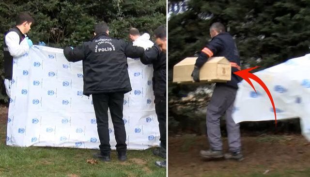 Yol kenarında yeni doğmuş bebek cesedi bulundu