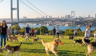 Zengin semtinde yaptığı işten 150 bin lira kazanıyor: Okumayın, iş kovalayın