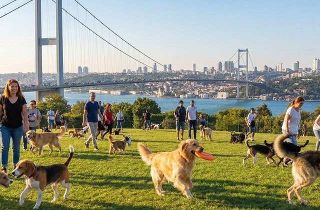 Zengin semtinde yaptığı işten 150 bin lira kazanıyor: Okumayın, iş kovalayın