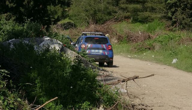 Adana’da ormanda erkek cesedi bulundu